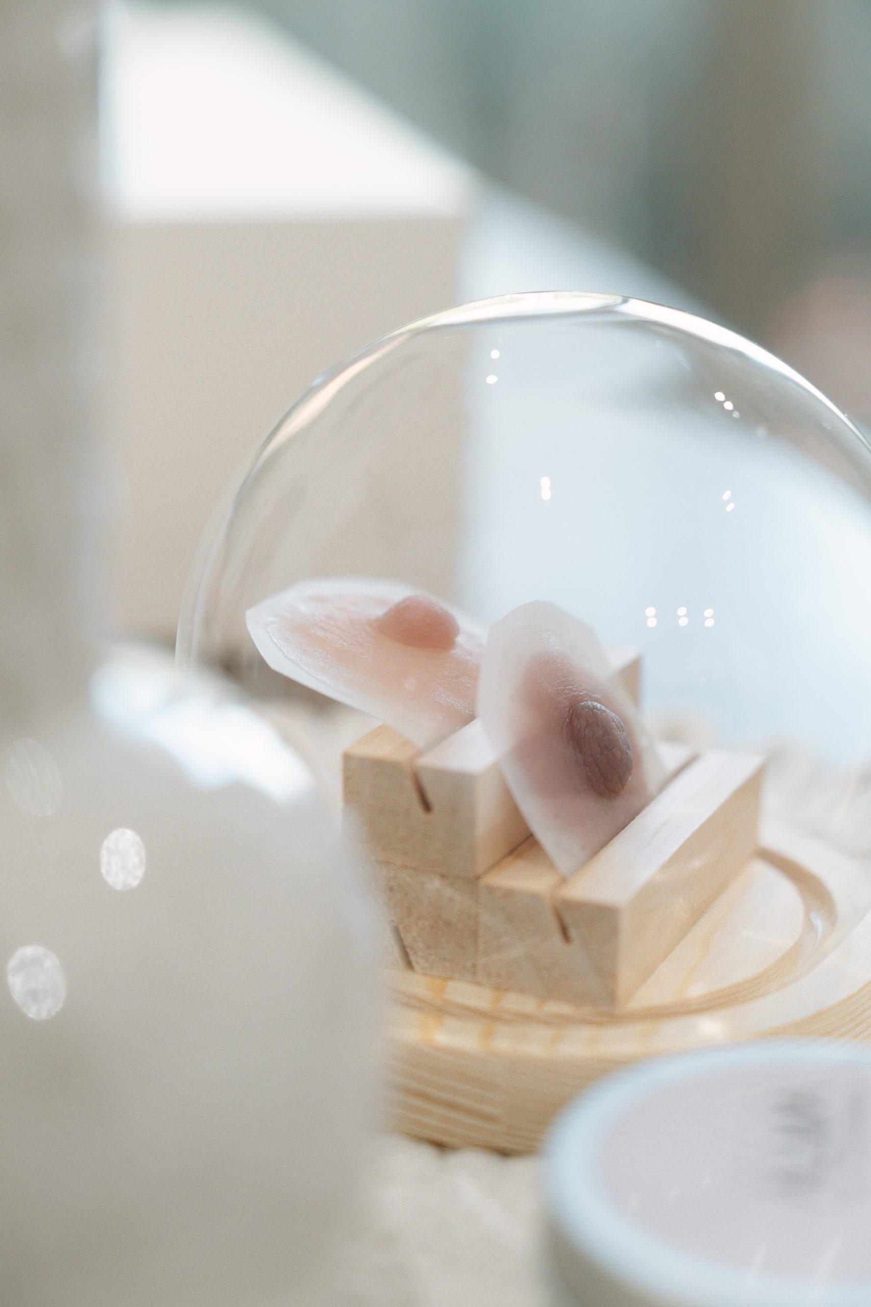 Muestra de prótesis de areola dentro de vitrina transparente.